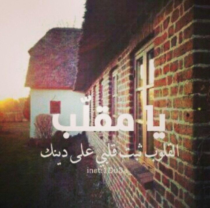 foofoosaad1400's profile picture. ...احفظ الله يحفظك...