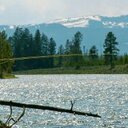 Kevin Grass - @Kevin_Grass - Twitter