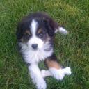 Betsy Ward Hanneman - @betsyhanneman - Twitter