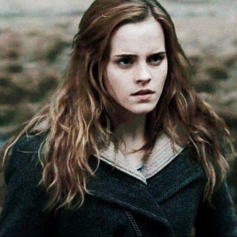 Gryffindor        Hija de muggles. numero uno en mi clase. Amiga de Harry y Ron♥