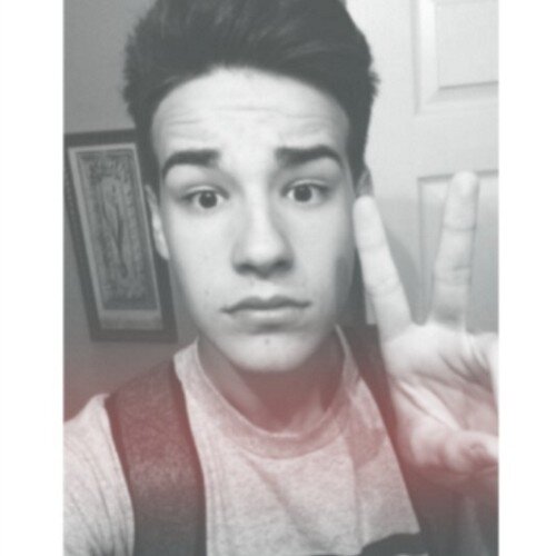 can you follow my friend @lawleynot ? thanks little angel x