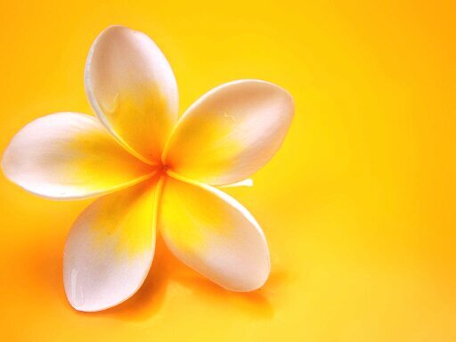 824915's profile picture. 