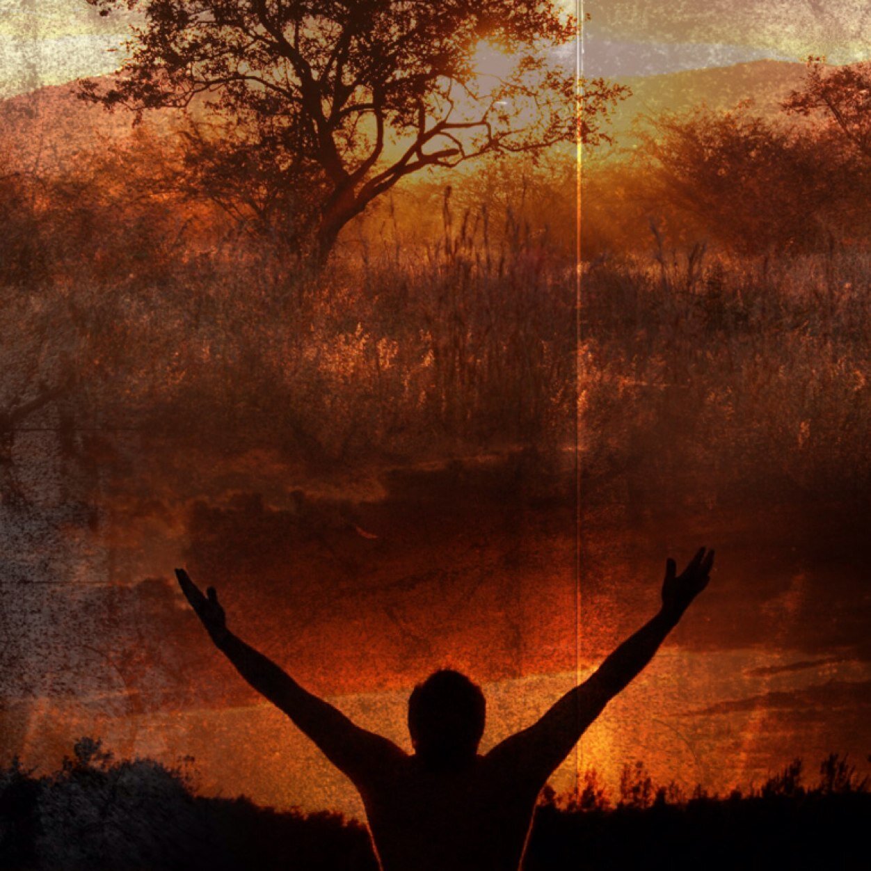 jesus_seeker's profile picture. For His sake, I have discarded everything else, counting it all as garbage, so that I might gain Christ and become one with Him.  Philippians 3:8