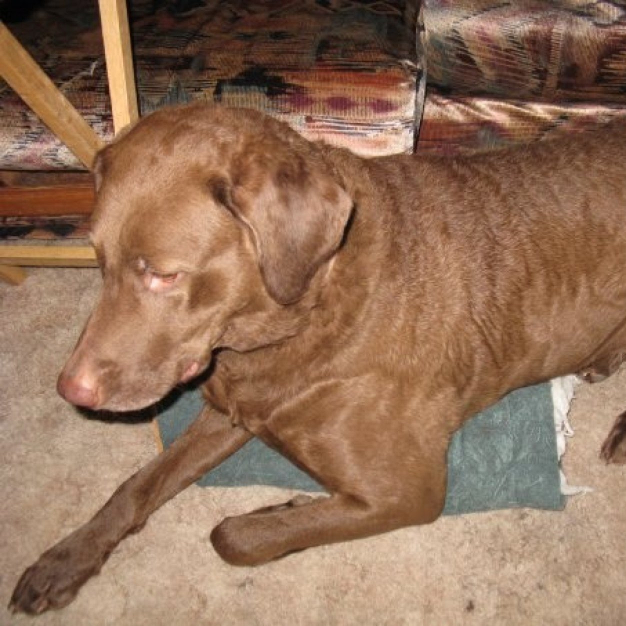 dirtdriver11's profile picture. 