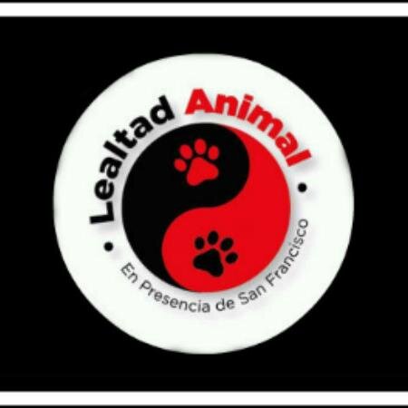Lealtad Animal es una agrupación, sin fines de lucro, dedicada al rescate, rehabilitación y búsqueda de hogar para perritos abandonados de Colina.