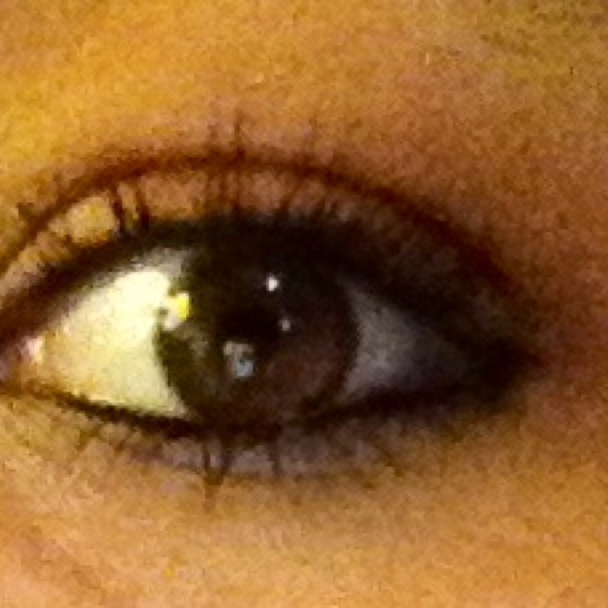 Brunette with hazel eyes. Puerto Rican. Country til the day I die. Small town girl. Florida. #Ford #Gators