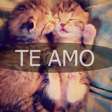 Necesito que ahora tu te des cuenta que apagastes mi luz(8:╭∩╮﹙︶︵︶﹚