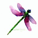 Christy Dillon - @Duxmom123 - Twitter