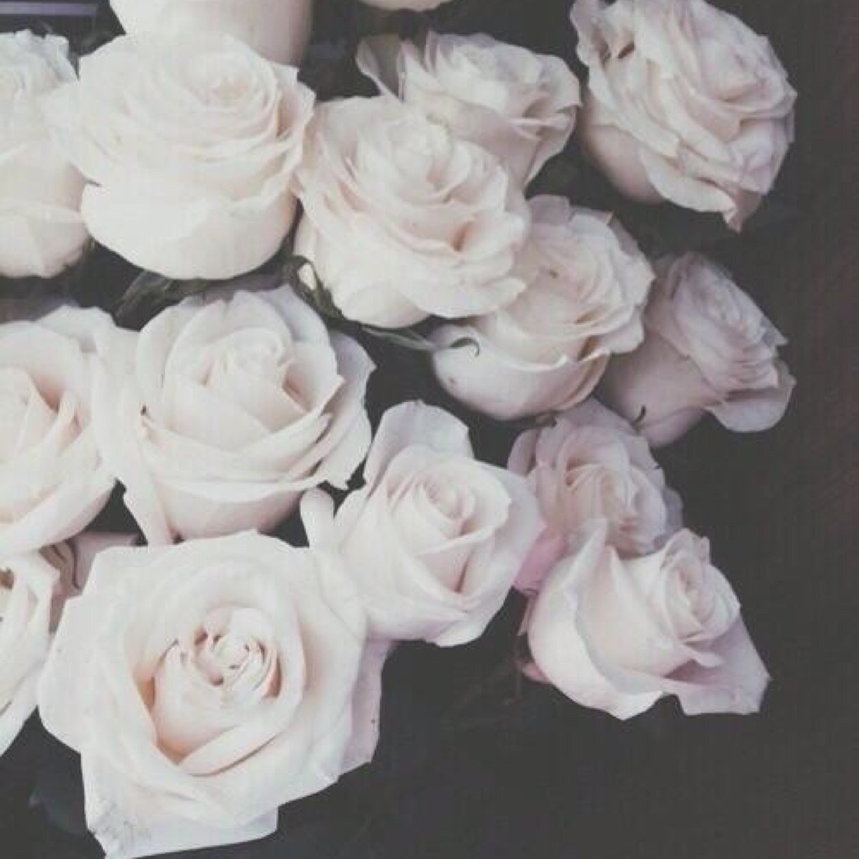 This is my tragedy☯▼♀☼