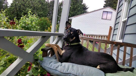 LorenRiccio's profile picture. 