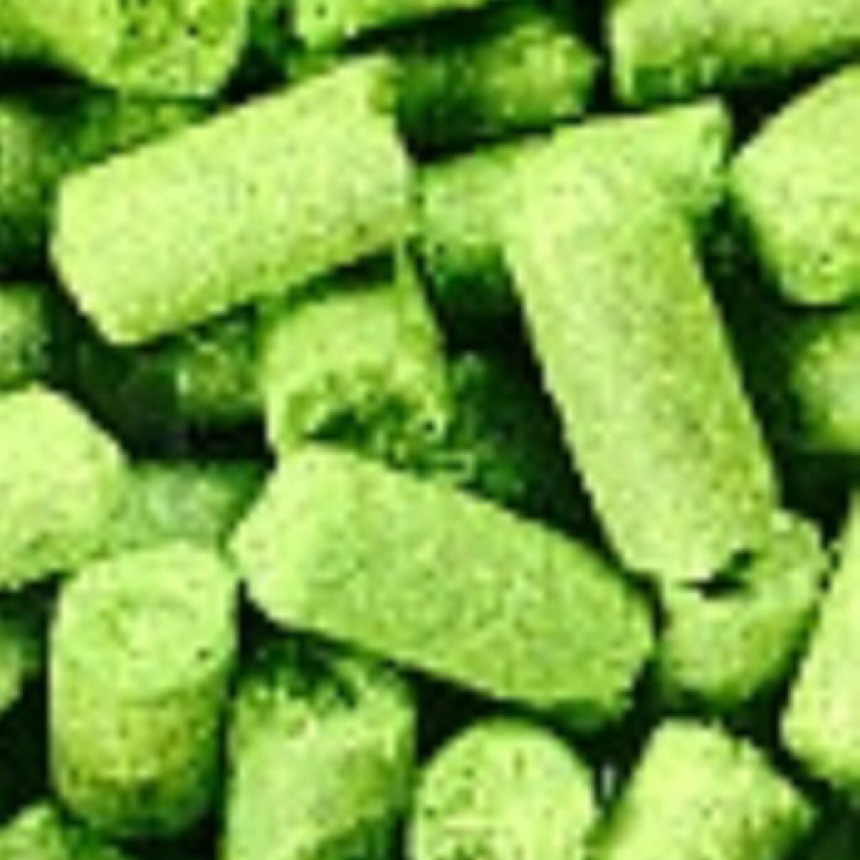 Brewhousebrew1's profile picture. 