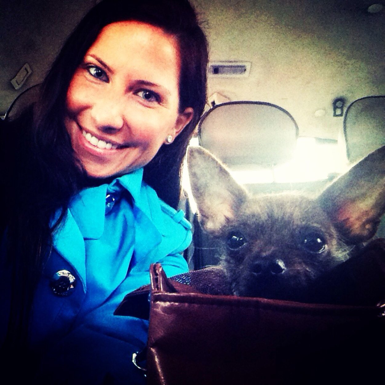 CCBren's profile picture. Sometimes football/soccer, sometimes Animal Rights, always Travel! ❤️