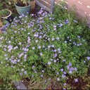 Cameron Johns - @CameronJohns4 - Twitter