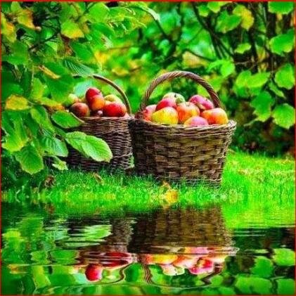 debbiede50's profile picture. 