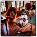 Heidi McHenry - @h_baby8907 - Twitter