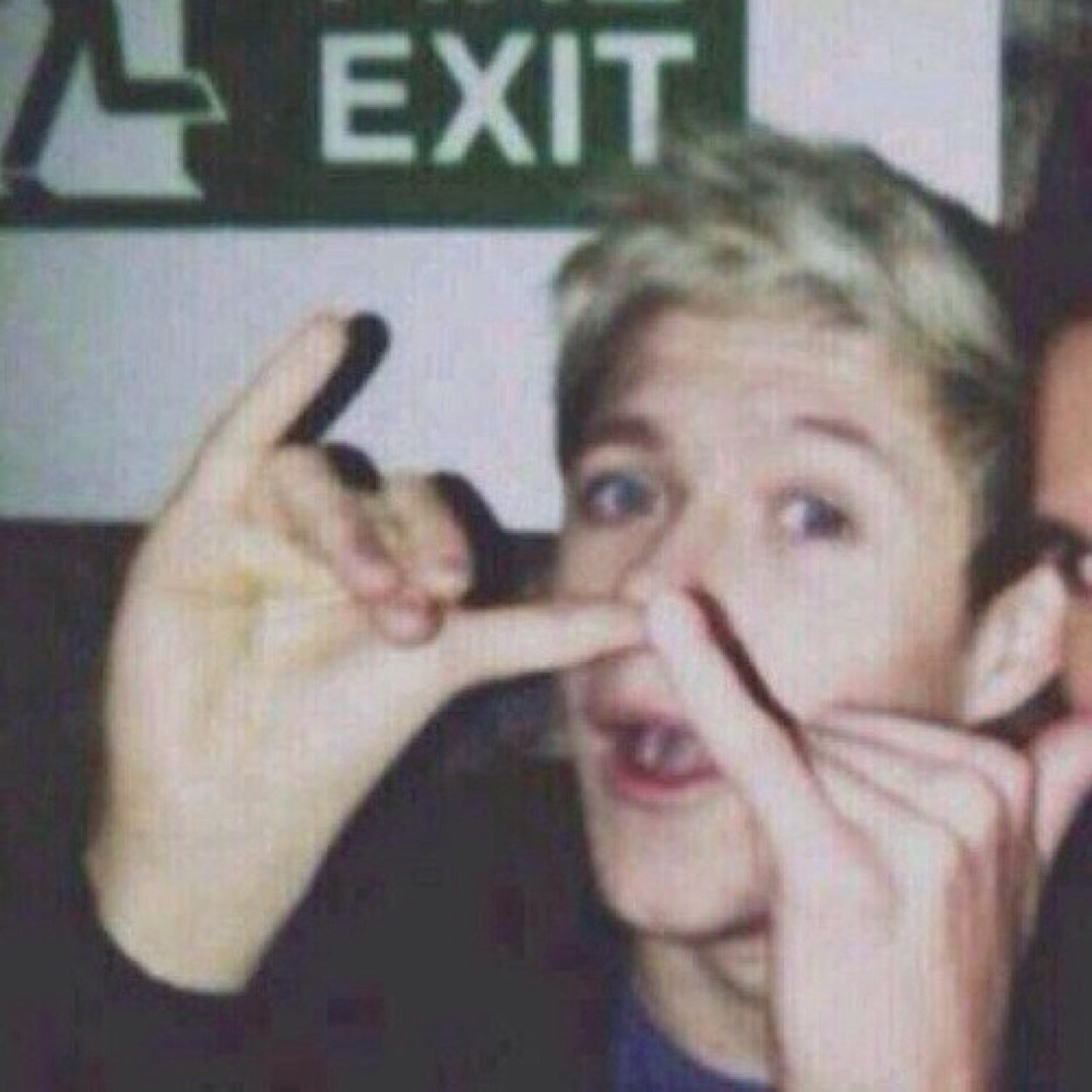 louis tops bye // dianna is fave !!