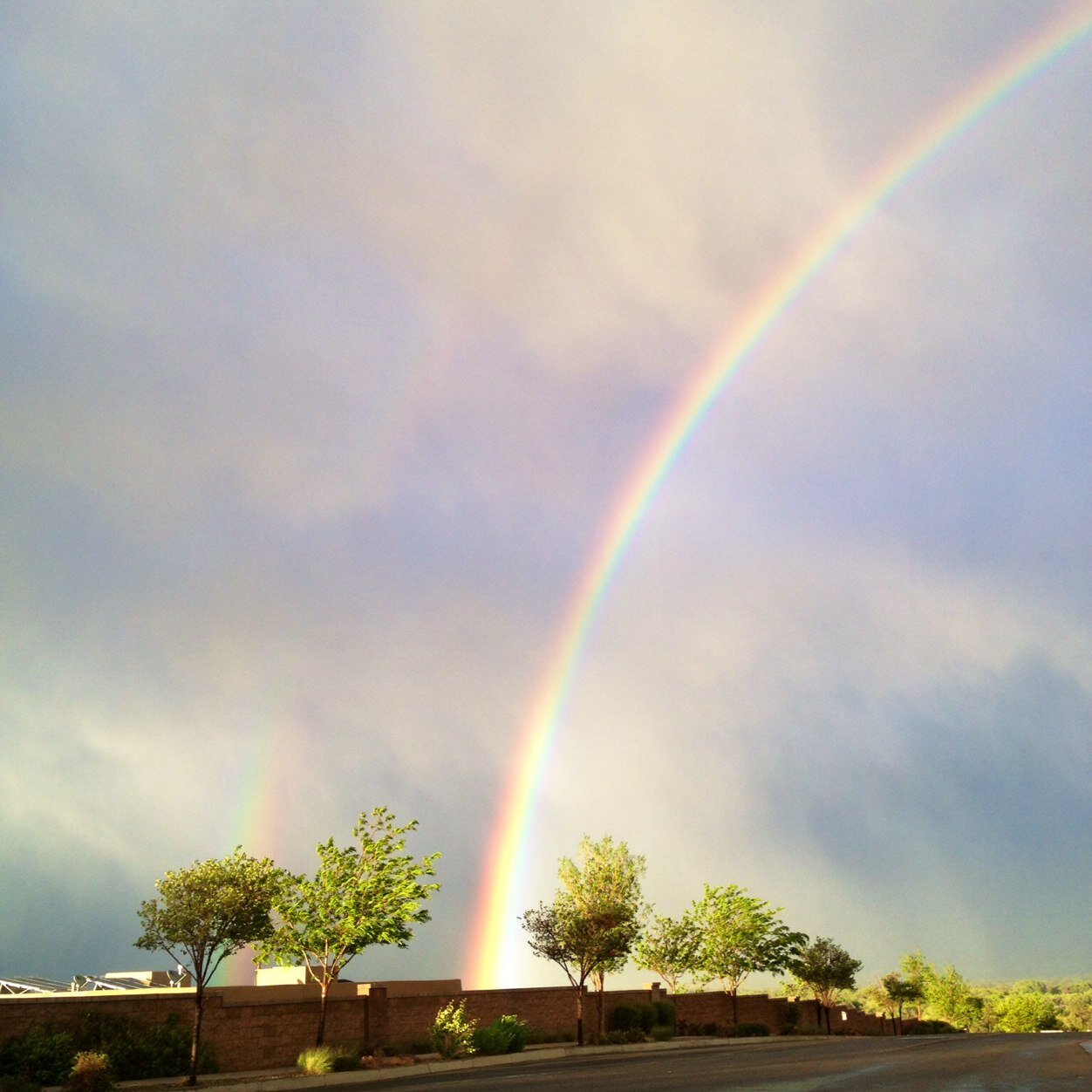 oliver_debby's profile picture. 