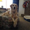 Glenn Haynes - @johng6103 - Twitter