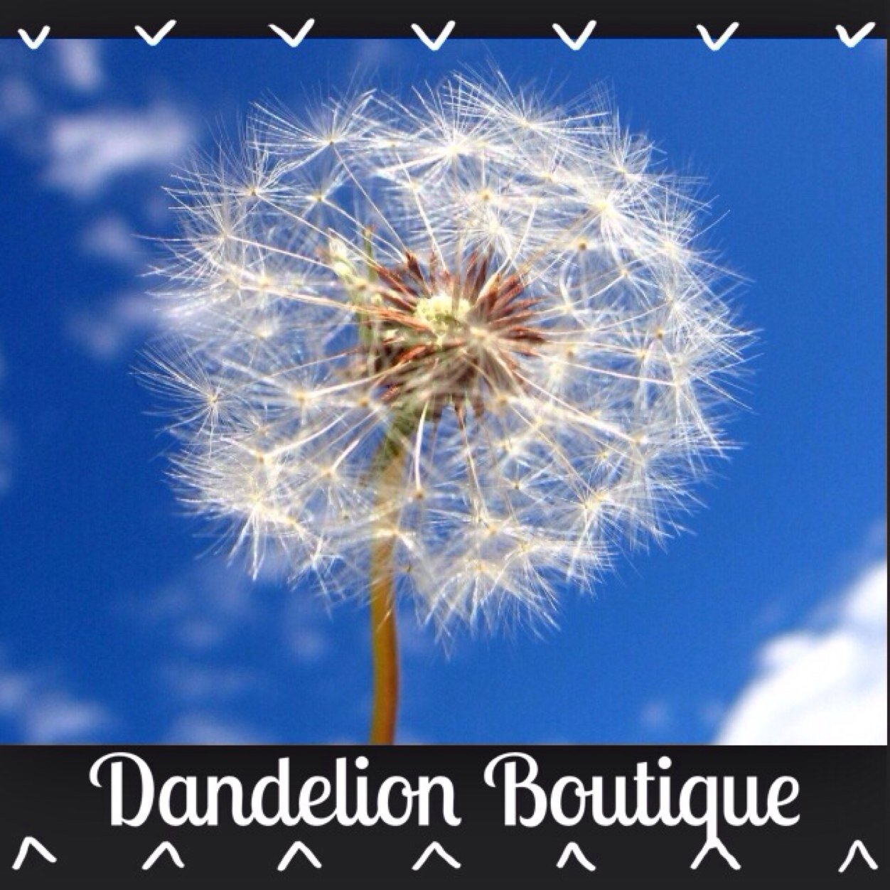 ShopDandelion1's profile picture. We are a boutique offering stylish & affordable clothing, swimwear & formal wear for all sizes! 110 S Hutchinson Ave Adel,GA. Give us a call at (229)896-4057