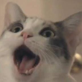 ♪♫♩♫♭♪ !!! Ψ