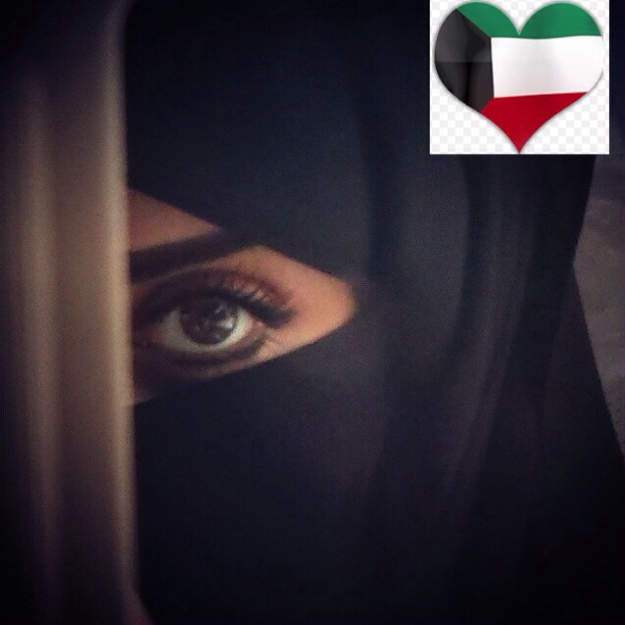 انا شمريه وافتخر وارفع الراس #شمر هلي وعزوتي وتاج راسي #انآ_بنت_آلطنآإيآإ طيب الساس اصل العروبه متصل فيني وراسي الخاص ممنوع /جهراويه