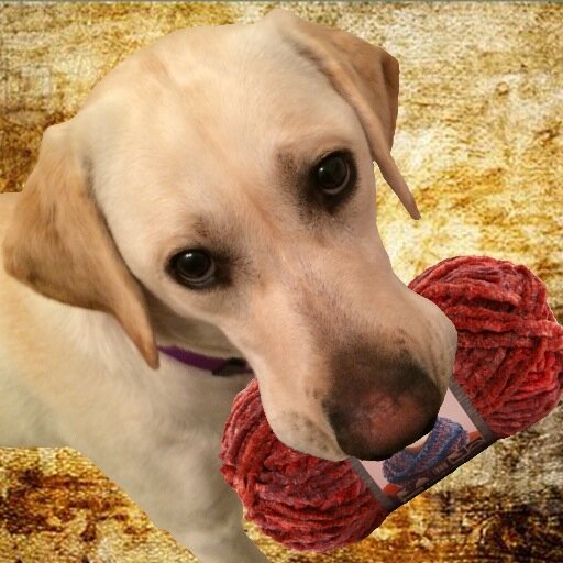Professional pet sitter, amateur cat lady, budding artist. I transform photographs into custom knit goods with a hacked Brother KH-930E knitting machine.