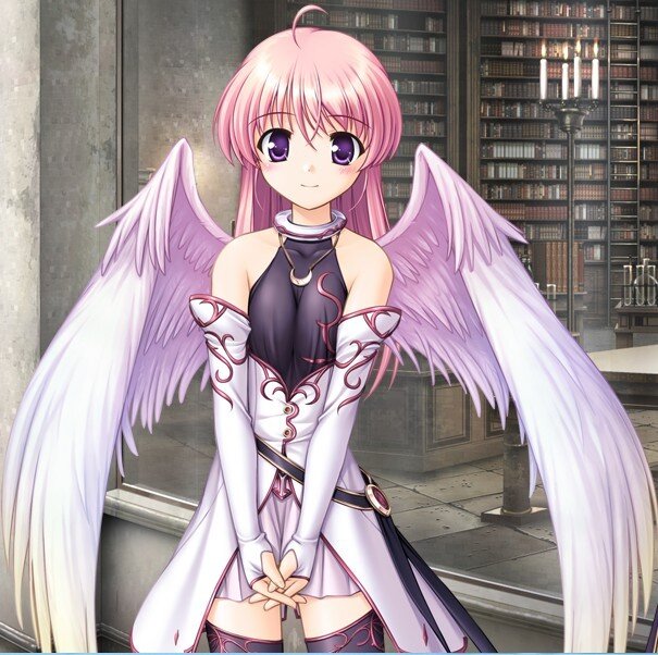(＾ω＾)