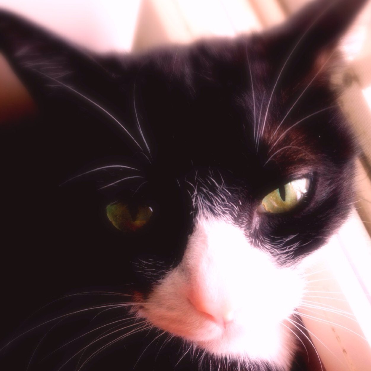 kouji023's profile picture. GN May Overwatch2 CP9A#1464