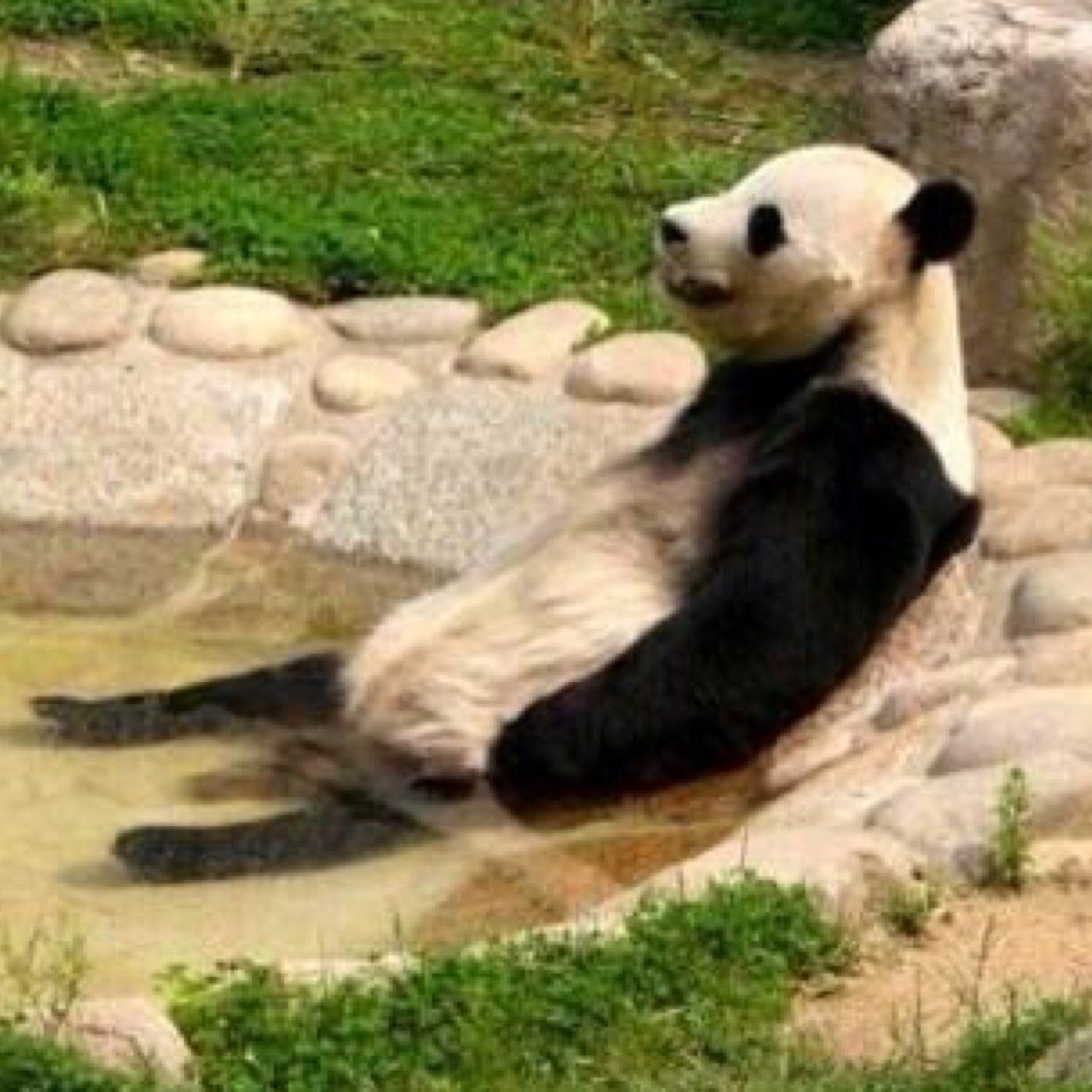 OGRandoFilipino's profile picture. Be nice