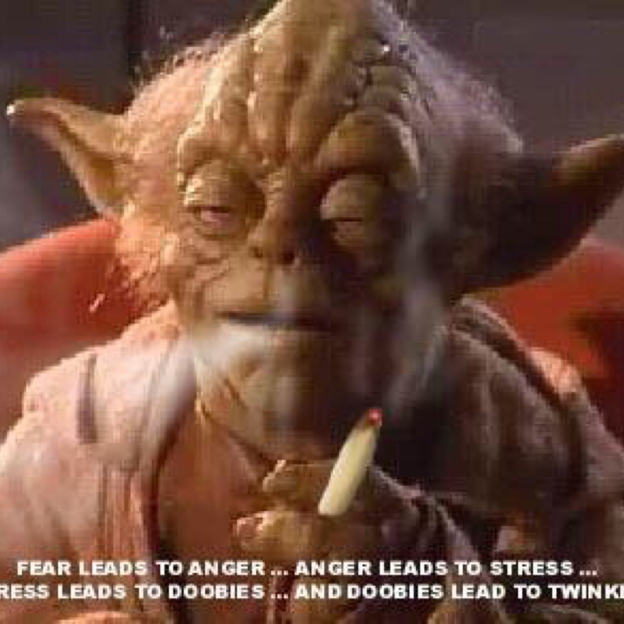 The Grand Master of the Stoney Jedi Council who has been smoking #weed and eating #edibles for over #420 years. #StonerNation