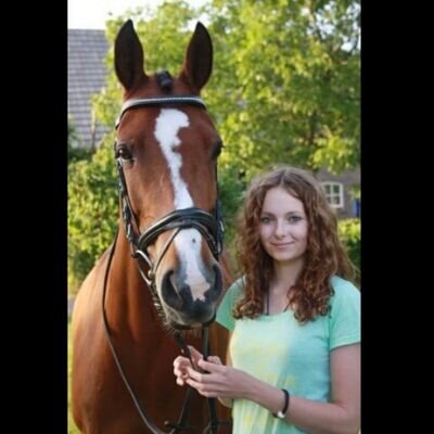 Hulstkamp's Clarissa| DEM2|Lady| Irola| 3Ma| christoffel|