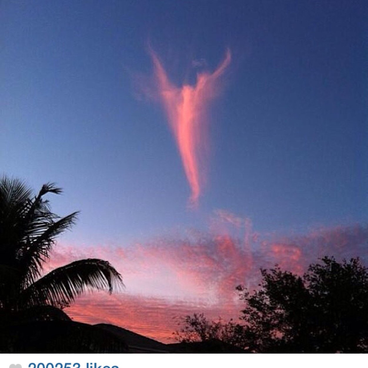 amandan71669371's profile picture. My beloved aunt that passed away what is now 5 years ago. She was like a mother to me! I love her so much! I will never forget her!!! Always in my heart forever