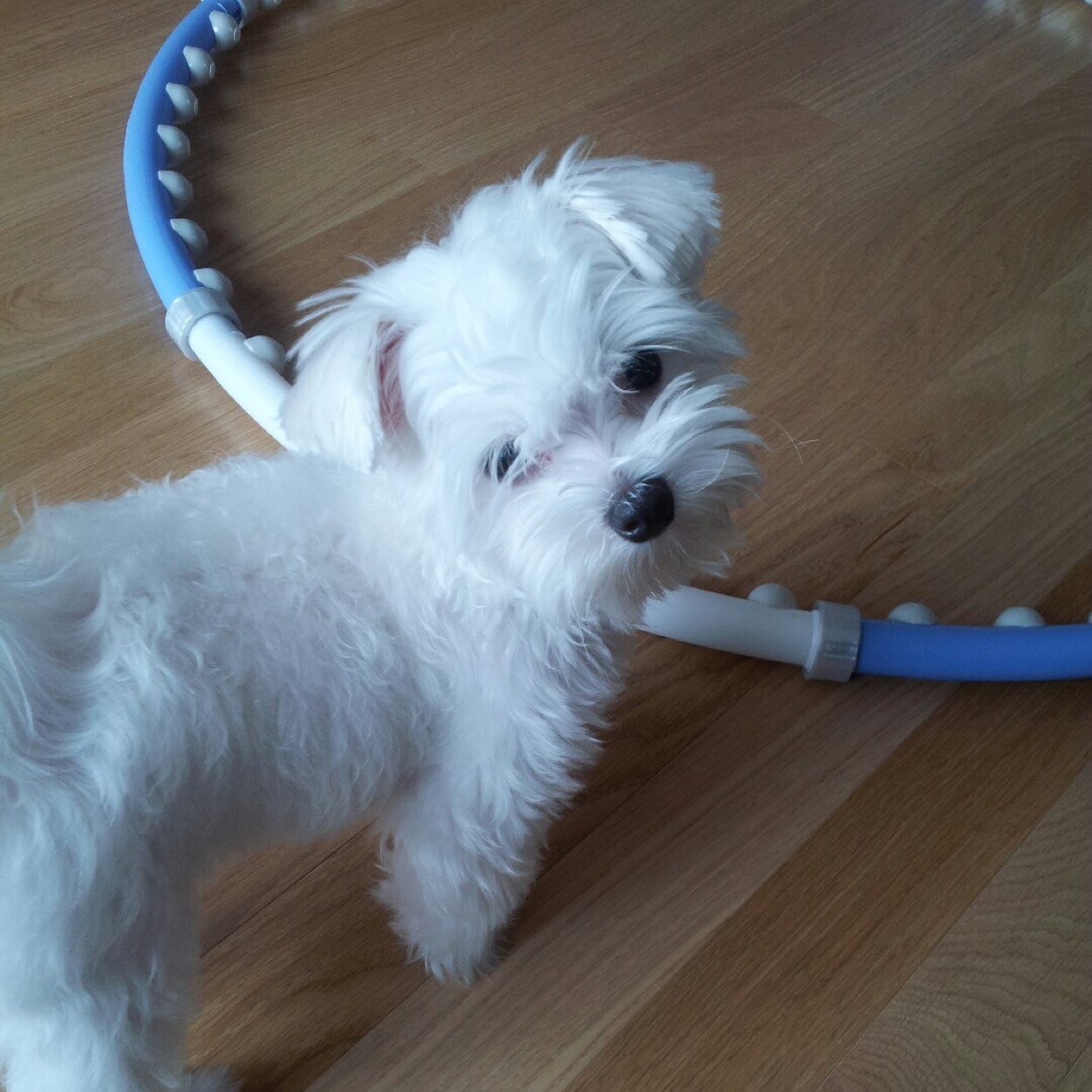 dansandong's profile picture. 질풍노도와 같이 살자.