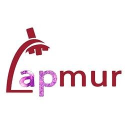 apmur1 Profile Picture