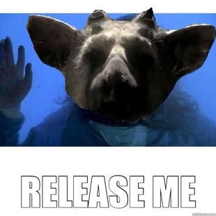 Don't worry, we will warn you if Last Guardian is out.