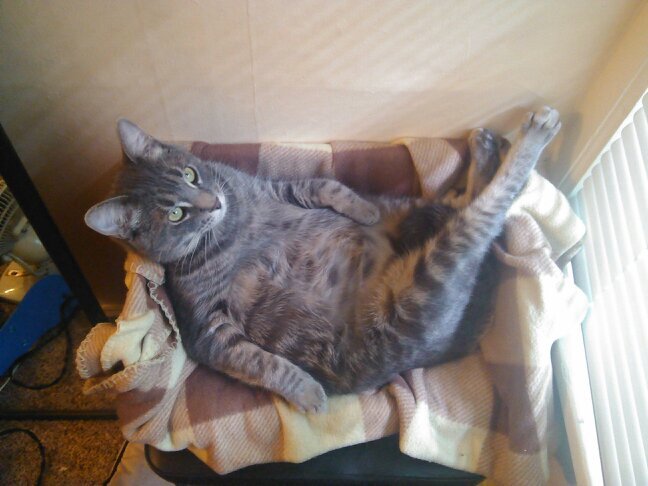 slowballerina's profile picture. Maybe I'm a maze.