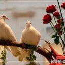 المنال العظيم (@09876Jasmine) Twitter