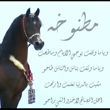 ‏‏لا شيء يكتمل كما نحب 
وكما قيل ذات يوم ربما يكون دائما 
مالا نتوقعه هو الاجمل .