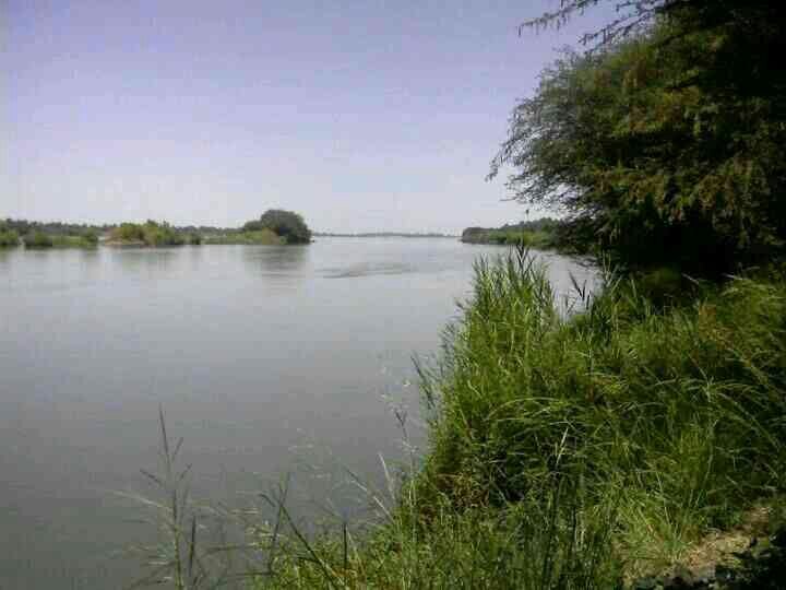 abuzeidelnger's profile picture. حسبنا الله سيؤتينا الله من فضله انا الى الله راغبون