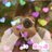 jinguuuuu___'s profile image
