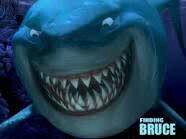 sharknettweets's profile picture. Welcome to SHARKNET, The all in one security company.
 our website 
http://t.co/yctZA2pTeQ
launching awesome competitions soon.
Email:sales@sharknet.co.za