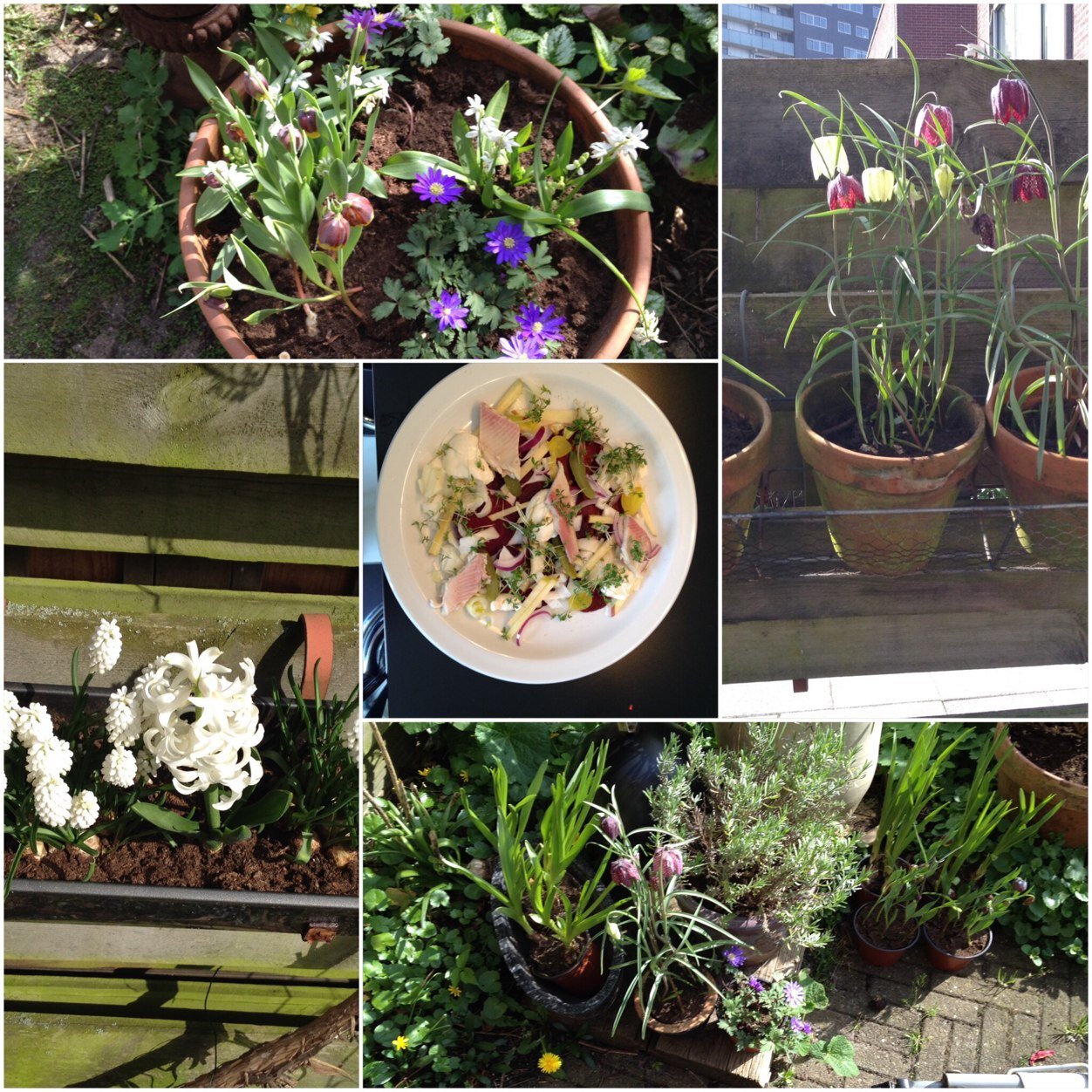 PKooij's profile picture. Leerkracht, coach en supervisor speciaal onderwijs de Heldring Amsterdam