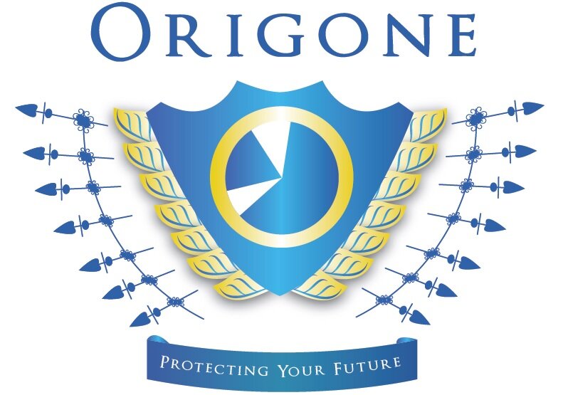 ORIGONE is characterized by a group of highly skilled professionals from several fields, working together as a team to provide its clients with unique approach.