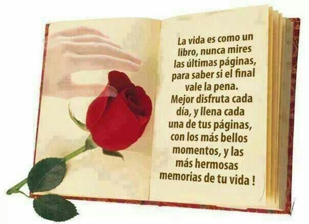 yolandapfo's profile picture. 