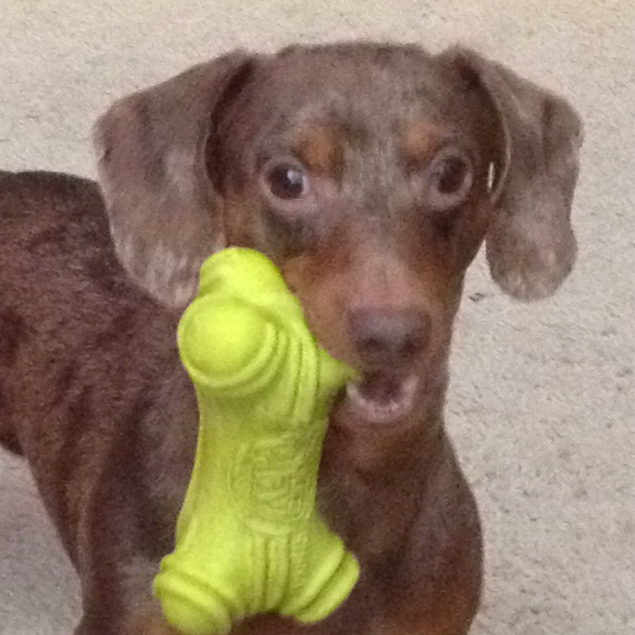 I can lick my own balls.