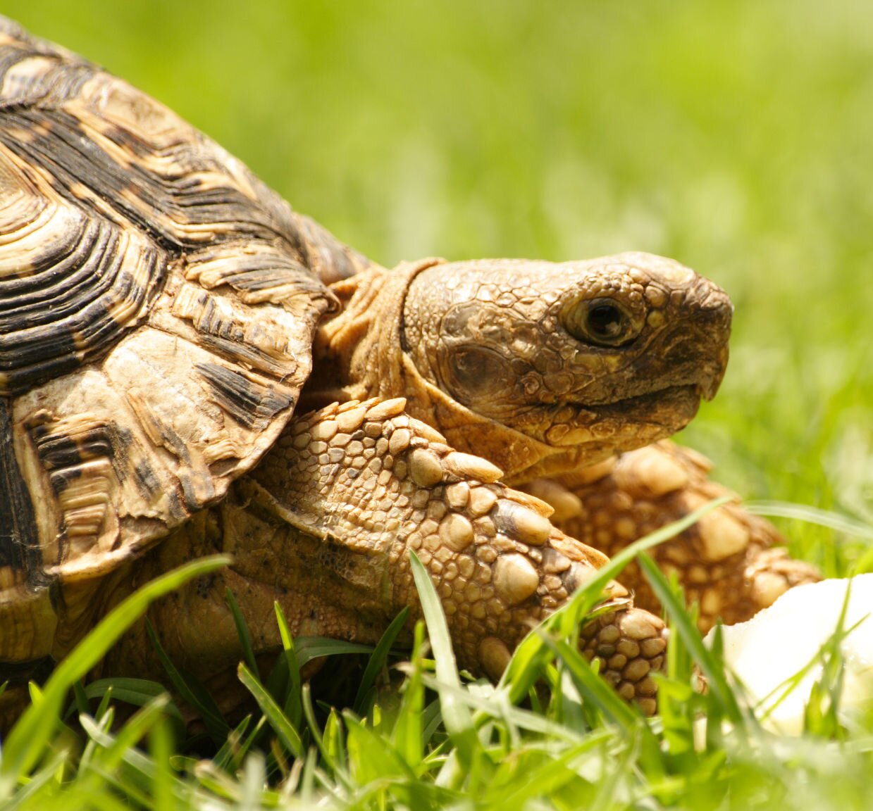 The slow and steady path to investment gains