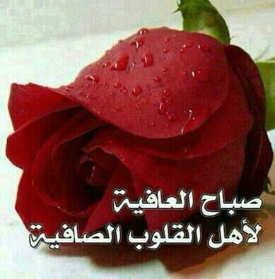 safityman's profile picture. 