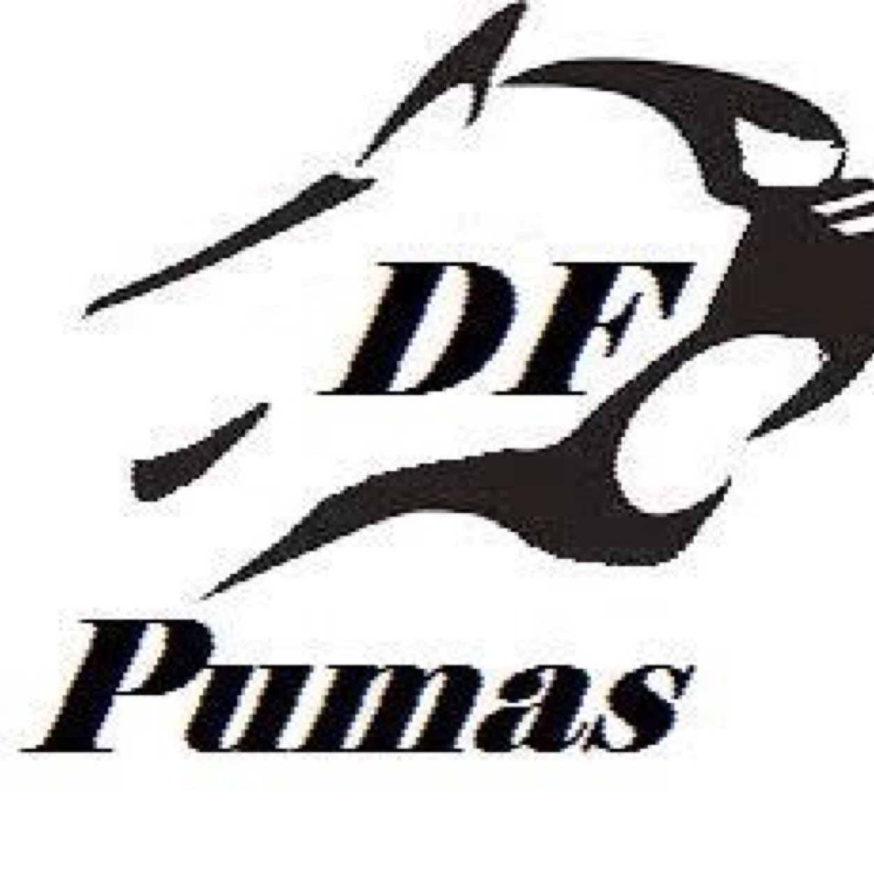 DF Malan Rugby Profile