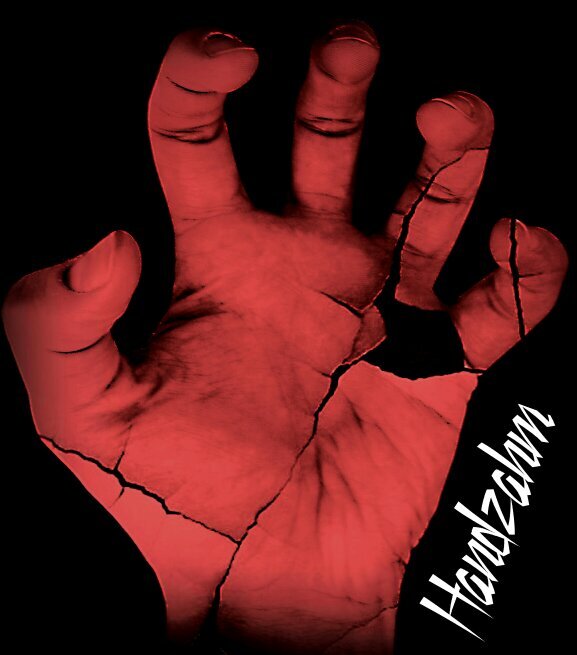 TDorrsen's profile picture. 