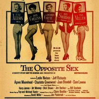 Nikky the Peeky (@saluting_pole) 's Twitter Profile